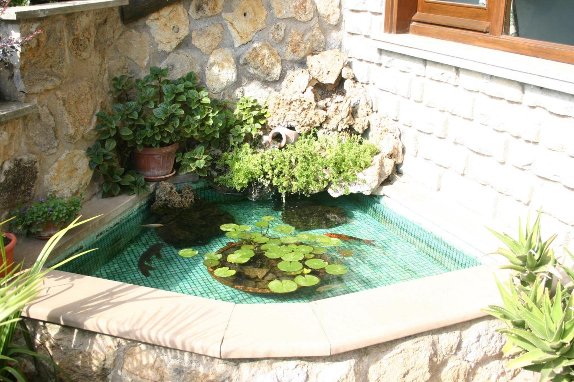 B&B Le Palme Bassano Romano Exterior photo